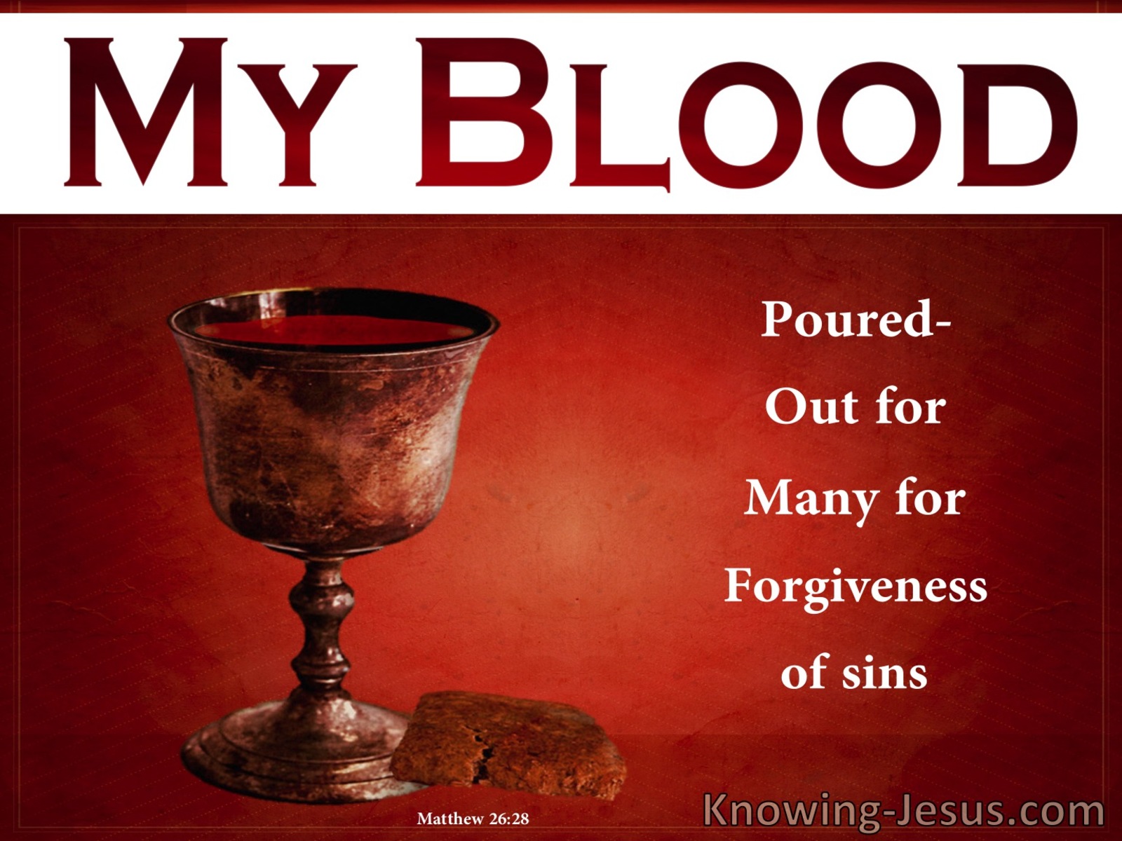Matthew 26:28 My Blood Of The New Covenant For Forgivensss Of Sins (red)